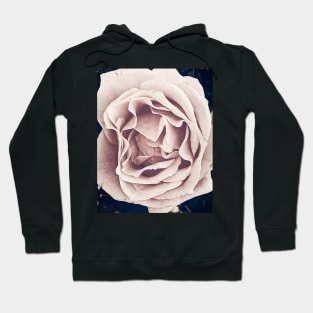 Pink Rose Hoodie